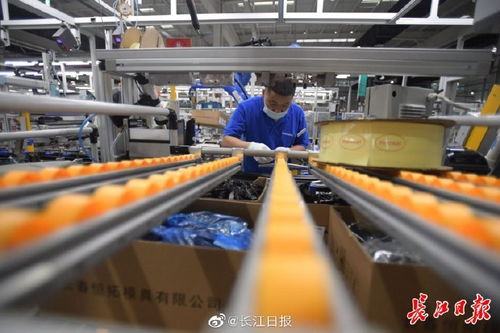 伟巴斯特武汉工厂提前3个月开工，带动区域外资企业集聚与节能工程咨询服务崛起